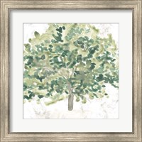 Country Tree III Fine Art Print