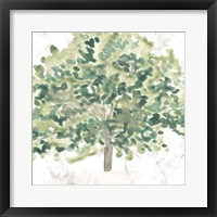 Country Tree III Fine Art Print
