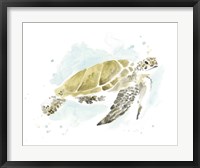 Watercolor Sea Turtle Study I Fine Art Print