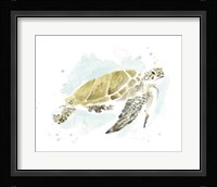 Watercolor Sea Turtle Study I Fine Art Print