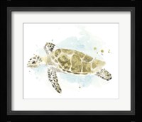 Watercolor Sea Turtle Study II Fine Art Print