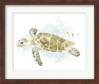 Watercolor Sea Turtle Study II Fine Art Print