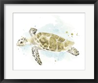 Watercolor Sea Turtle Study II Fine Art Print