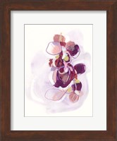 Orchid Sonata II Fine Art Print