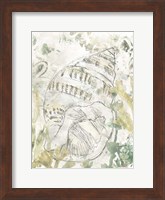 Verdant Shell Fresco III Fine Art Print