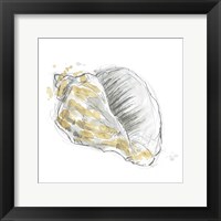 Citron Shell Sketch III Framed Print