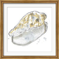 Citron Shell Sketch IV Fine Art Print
