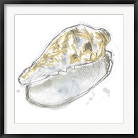 Citron Shell Sketch IV Fine Art Print