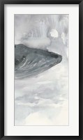 Blue Whale Triptych III Fine Art Print