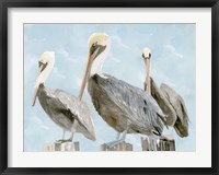 Soft Brown Pelican III Fine Art Print