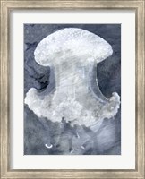 Indigo Jellyfish II Fine Art Print