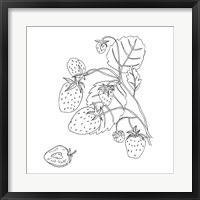 Wild Strawberries I Fine Art Print