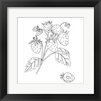 Wild Strawberries II Fine Art Print