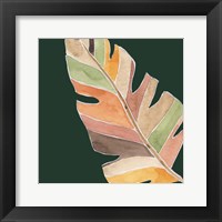 Palm Grove II Framed Print