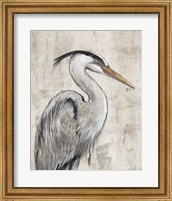 Grey Heron I Fine Art Print