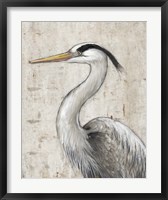 Grey Heron II Fine Art Print