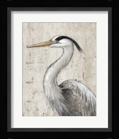 Grey Heron II Framed Print