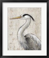 Grey Heron II Fine Art Print