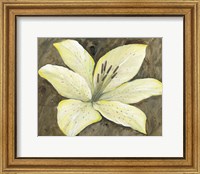 Neutral Lily I Fine Art Print