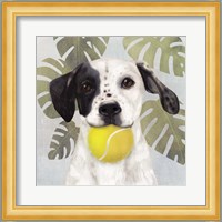 Pet Life IV Fine Art Print