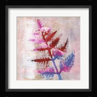 Dappled Fern I Framed Print