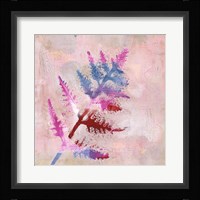 Dappled Fern II Framed Print
