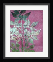 Mono Branch II Framed Print