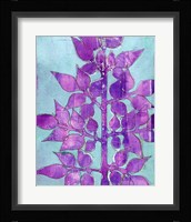 Purple Planta I Fine Art Print
