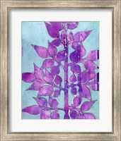 Purple Planta I Fine Art Print