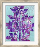 Purple Planta II Fine Art Print