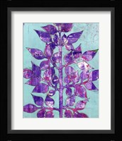 Purple Planta II Framed Print
