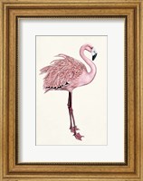Striking Flamingo I Fine Art Print