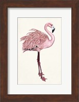 Striking Flamingo I Fine Art Print