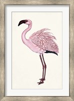 Striking Flamingo II Fine Art Print