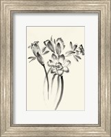 Ink Wash Floral I - Daffodils Fine Art Print