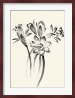 Ink Wash Floral I - Daffodils Fine Art Print
