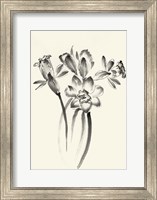 Ink Wash Floral I - Daffodils Fine Art Print