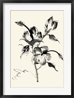 Ink Wash Floral III - Hibiscus Fine Art Print