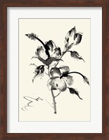Ink Wash Floral III - Hibiscus Fine Art Print