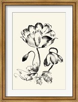 Ink Wash Floral IV - Poppy Fine Art Print