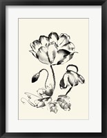 Ink Wash Floral IV - Poppy Fine Art Print
