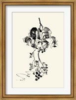 Ink Wash Floral V - Grapes Fine Art Print