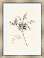 Ink Wash Floral VII - Forsythia Fine Art Print