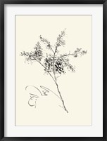 Ink Wash Floral VII - Forsythia Fine Art Print