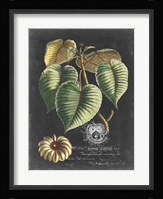 Royal Foliage I Fine Art Print