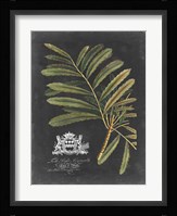 Royal Foliage II Fine Art Print