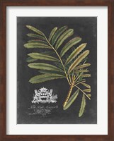 Royal Foliage II Fine Art Print
