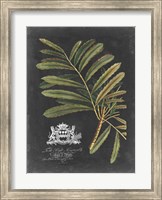 Royal Foliage II Fine Art Print