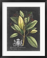 Royal Foliage IV Fine Art Print
