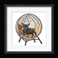 Pom Pom Pup II Fine Art Print